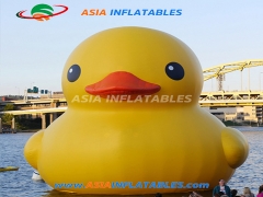 Best Selling Custom Cute Inflatable Duck Cartoon For Pool Floating