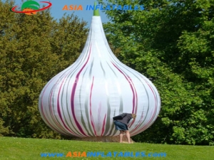 Inflatable Onion
